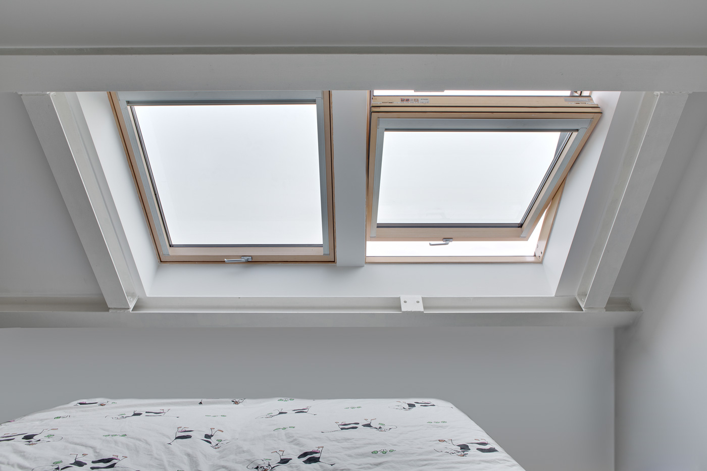 What Are The Differences Between Rooflights And Skylights