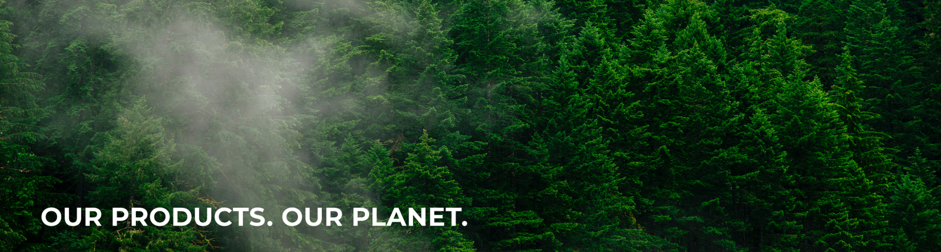 Our Commitment to Sustainability | FAKRO